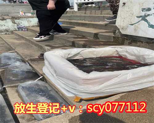 苏州适合放生什么鱼的地方，江苏省苏州弘化社官方网站维护公告