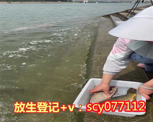 南京野鸡放生地点在哪儿，南京鸡鸣寺5月21日至27日举办水陆法会通启